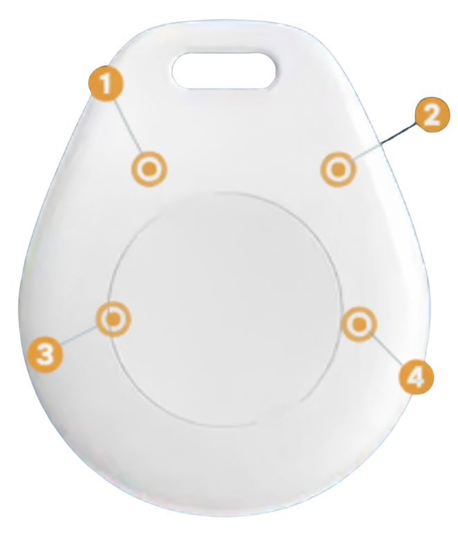 Teardrop Tag Top View